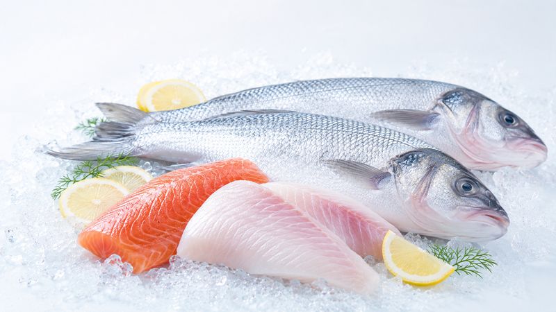 Pesca del día